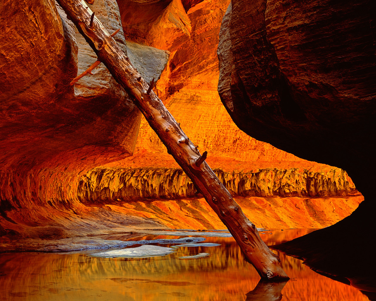 North Pole slot canyon photograph at Zion National Park