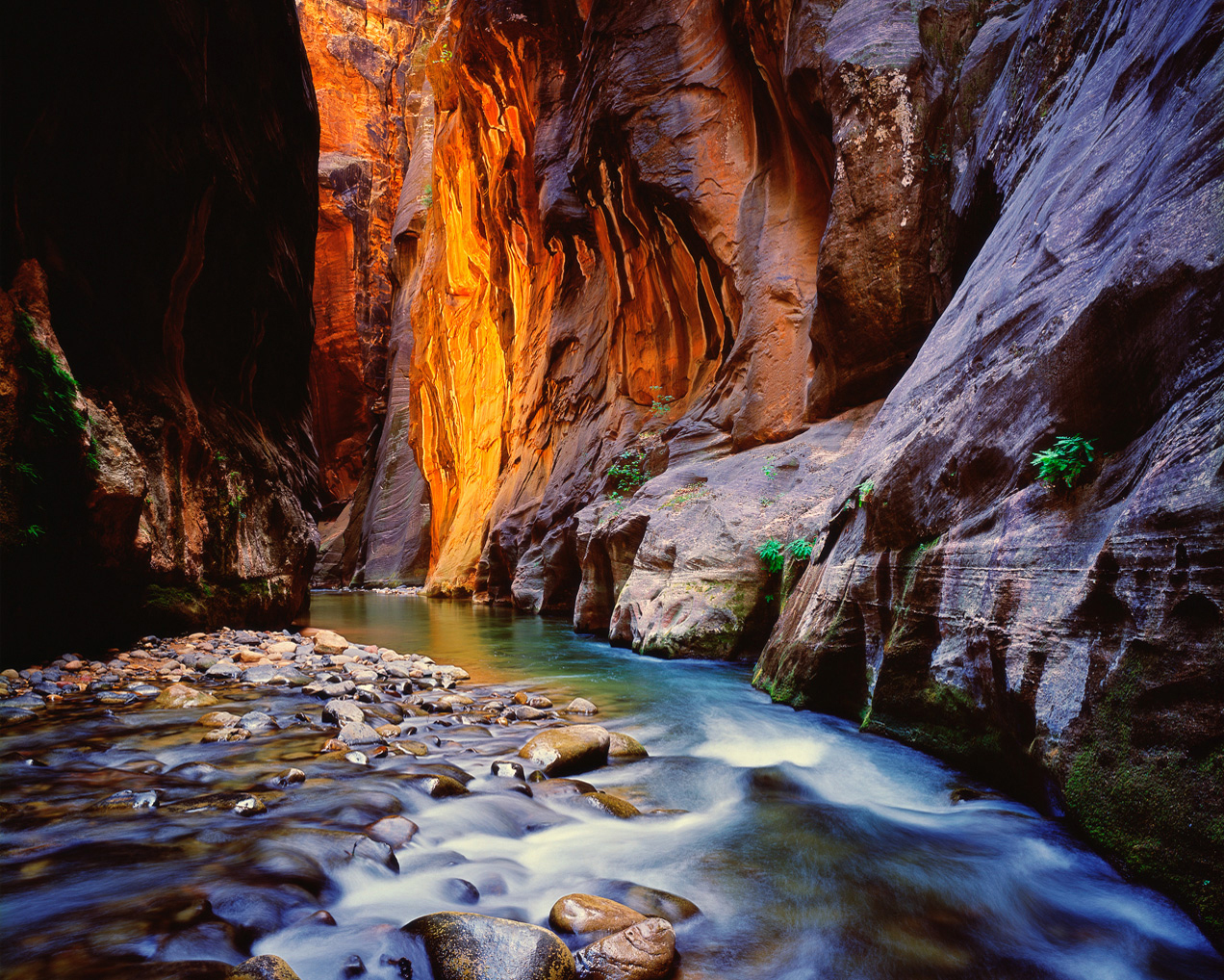 Virgin River in slot canyon photo at Zion National Park